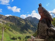 60 L'aquila osserva in alto